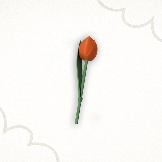 King's Day Tulip